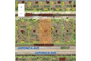 0 Japonica Dr, INDIAN LAKE ESTATES
