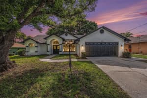 5092 Abagail Dr, SPRING HILL