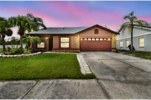 11304 Plumtree Ct, RIVERVIEW