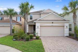 16030 Bella Woods Dr, TAMPA