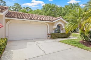 3810 Darston St, PALM HARBOR