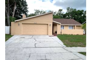 4718 Grainary Ave, TAMPA