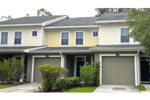 8218 Downpatrick Ct #40-2, TAMPA