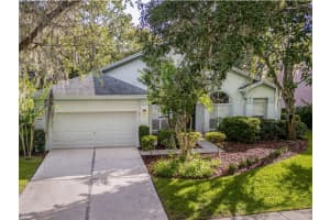 4953 Ebensburg Dr, TAMPA