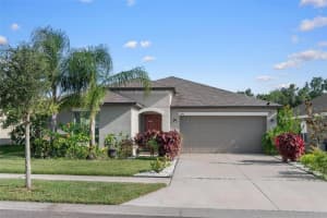 11303 Misty Moss Dr, WIMAUMA