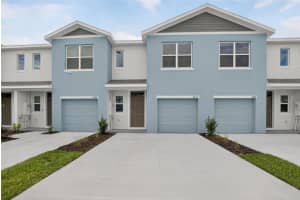 , TAMPA