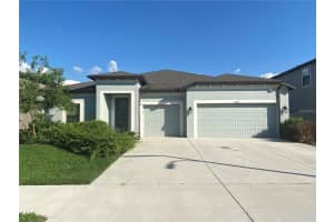8072 Lago Mist Way, WESLEY CHAPEL