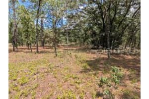 Lot 25 Nw Ridgewood Rd, DUNNELLON
