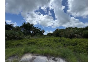 Nace Ct, NORTH PORT