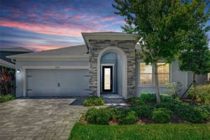 5434 Silver Sun Dr, APOLLO BEACH