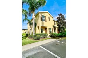 20427 Needletree Dr, TAMPA