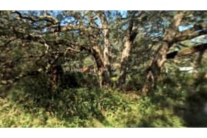 355 Grand Ave, BROOKSVILLE