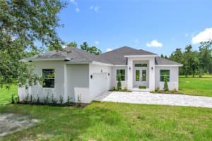 2105 Dorman Rock Pl, PLANT CITY