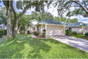 15878 Sanctuary Dr, TAMPA