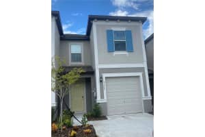31763 Blue Passing Loop, WESLEY CHAPEL