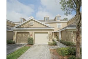 4146 Bismarck Palm Dr, TAMPA