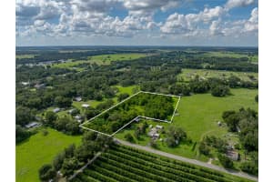 41245 Melrose Ave, ZEPHYRHILLS