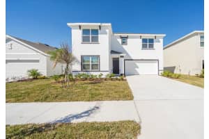 31127 Penny Surf Loop, WESLEY CHAPEL
