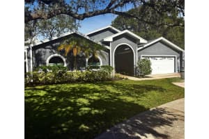 1014 Bramblewood Ct, SAFETY HARBOR 1014 Bramblewood Ct, SAFETY HARBOR