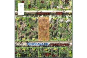 0 Tropicana Dr, INDIAN LAKE ESTATES