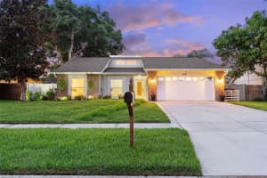 4707 Cresson Ct, TAMPA