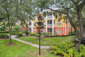 4207 S Dale Mabry Hwy #11109, TAMPA