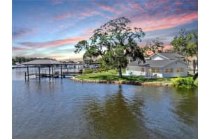 424 Doric Ct, TARPON SPRINGS