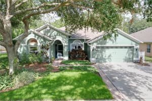 3216 Hurley Grove Way, VALRICO