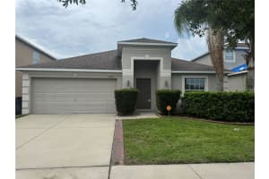 10405 Summer Azure Dr, RIVERVIEW