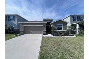 144 Bright Ibis Ave, APOLLO BEACH