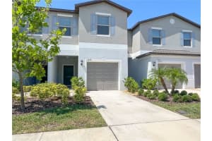 13249 Dupree Hills Pl, RIVERVIEW