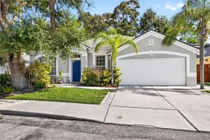 8853 Cypress Hammock Dr, TAMPA