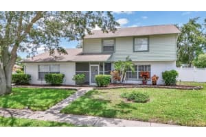 2430 Falcon Ln, PALM HARBOR