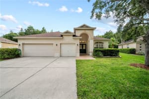 18214 Stillwell Ln, TAMPA