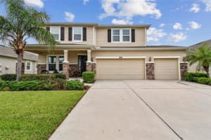 32385 Bannack Ln, WESLEY CHAPEL