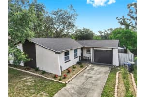 10713 N Ojus Dr, TAMPA
