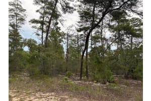 27 Statice Ct, HOMOSASSA