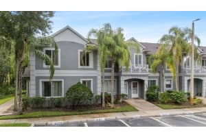 18195 Paradise Point Dr, TAMPA