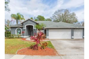 23635 Oakside Blvd, LUTZ