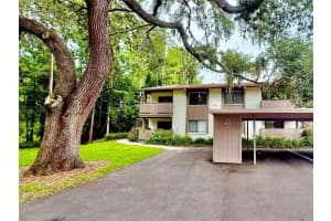 607 Summerhill Ct #c, SAFETY HARBOR