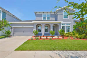 5313 Del Coronado Dr, APOLLO BEACH 5313 Del Coronado Dr, APOLLO BEACH