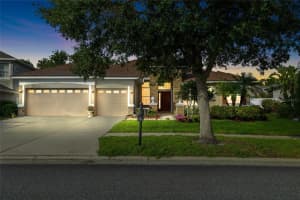 20111 Tamiami Ave, TAMPA