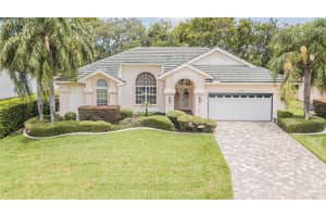419 Mistwood Ct, SPRING HILL
