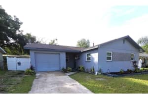 8313 Tupelo Dr, TAMPA