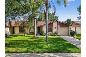 2007 Dover Ct, OLDSMAR