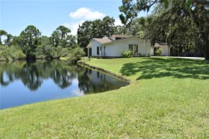 12806 Twin Branch Acres Rd, TAMPA