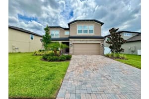 5732 Newberry Pines Ave, WESLEY CHAPEL