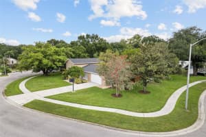 3101 Old Spring Pl, TAMPA