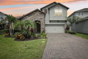 11627 Sweet Tangerine Ln, TAMPA