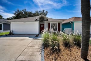 3678 Amelia Way, PALM HARBOR